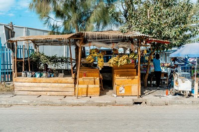 Trip Photo